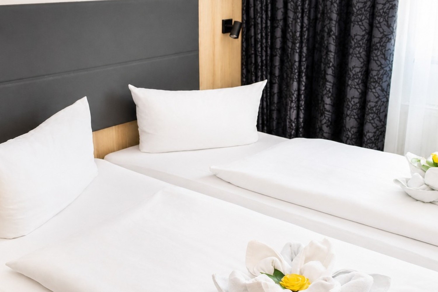 Standard Zimmer im HOLI-Berlin